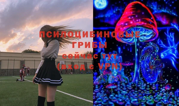 крисы Нязепетровск