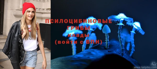 прущие крисы Няндома
