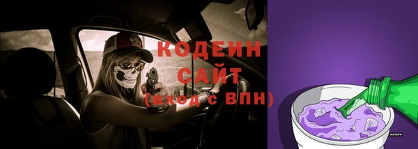 крисы Нязепетровск