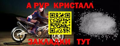 шишки Кимры