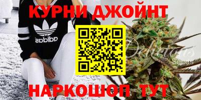 шишки Кимры