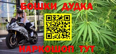 шишки Кимры