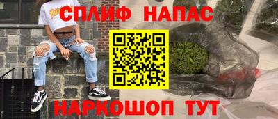 шишки Кимры