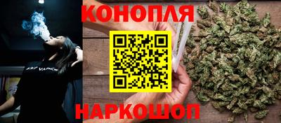 шишки Кимры