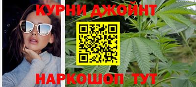 шишки Кимры