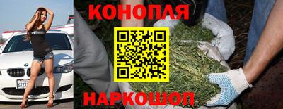 трава Кинель