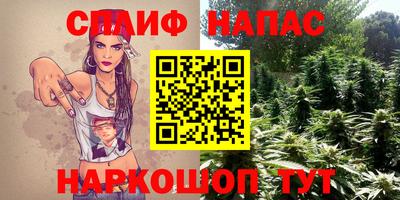 шишки Кимры