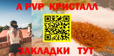 шишки Кимры