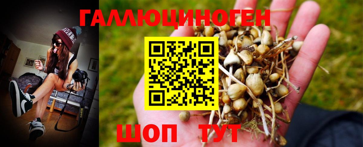 Галлюциногенные грибы MAGIC MUSHROOMS  Галлюциногенные грибы Psilocybine cubensis  Вход с VPN  Советская Гавань 